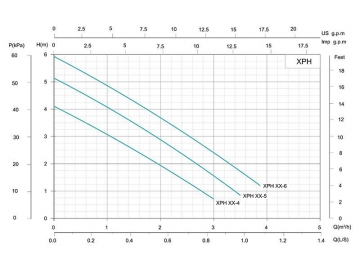 XPH Timing and Constant Temperature Circulation Pump