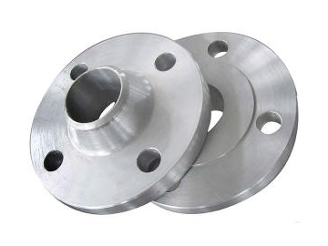 Sanitary Flanges