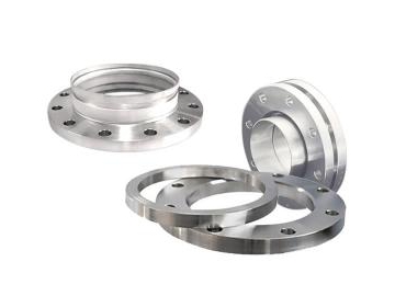 Sanitary Flanges
