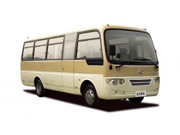 6-7m Coach, XMQ6608