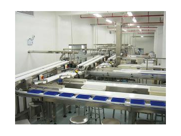 Automatic Tray Loading System (for Secondary Packaging)