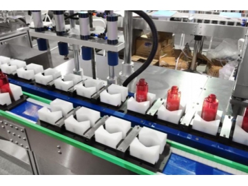Automatic Inline Filling Line, Lotion Packaging