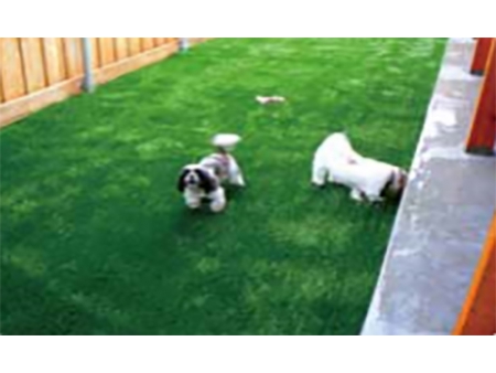 Bellin-Smart Synthetic Turf with optimized tuft lock and permeability