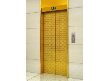 Distguished Design Of Elevator Lobby