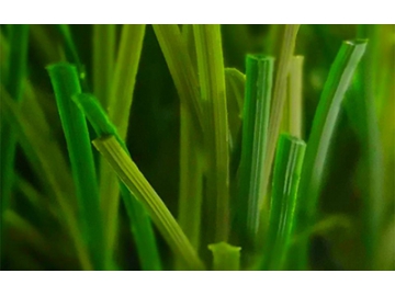 Artificial Grass for Soccer & Football Fields