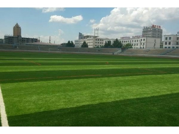 Artificial Grass for Football, MT-Stem-Plus / MT-Stem XL-Plus