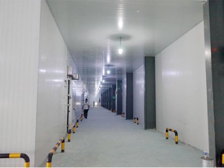 Refrigerated Warehouse for Meat