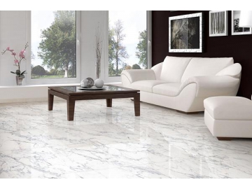 New Bianco Carrara Marble Tile  (Porcelain Floor Tiles, Interior and Exterior Tile)