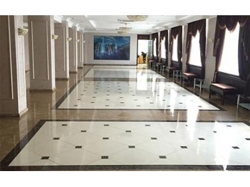Conference Center Marble Tile, Russia