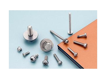 Stainless Steel Micro Screw