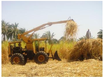 500-1000kg Sugar Cane Grab Loader