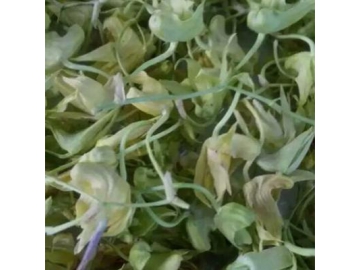 Flower Freeze Drying