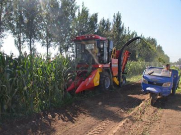 4YZ-4BH Corn Combine Forage Harvester