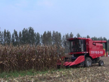 Combine Harvester with Maize Sheller