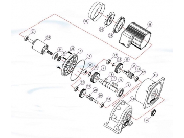 Speed Reducer Structure and Parts