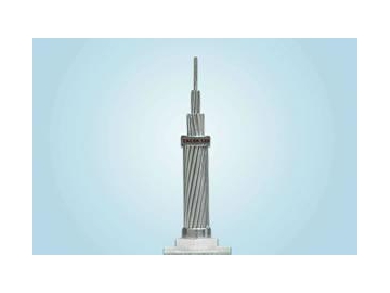 TACSR / Thermal Resistant Aluminum-alloy Conductor Steel Reinforced