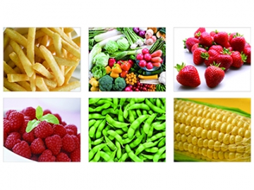 Fruit & Vegetable Products Freezing System
