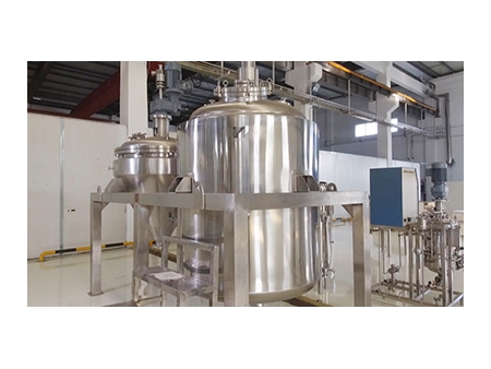 Pharmaceutical Processing Stainless Steel Bioreactors