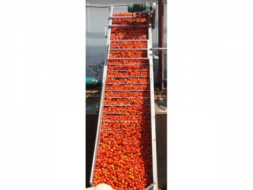 Fresh Tomato Receiving Tank/Stainless Steel Elevator