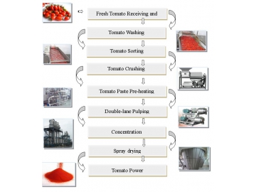 Tomato Powder Production Line