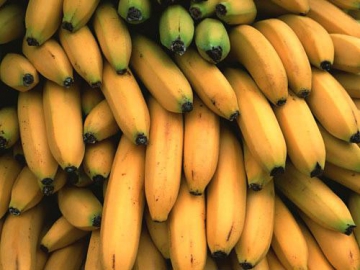 Banana Powder Production Line