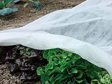 Nonwoven Frost Cover, Plant Protection Fabric