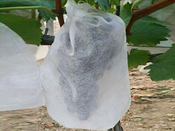 Nonwoven Fruit Cover, Crop Cover