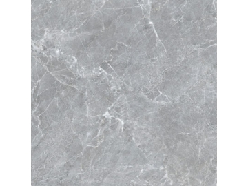 Marble Look Tile - Titanium