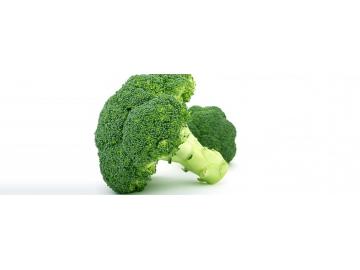 Broccoli Transpanter
