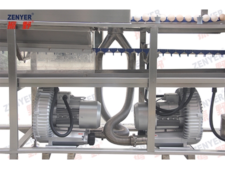 200A Egg Washer (3,000 EGGS/HOUR)