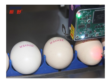 401H Egg Printer, Egg Coder