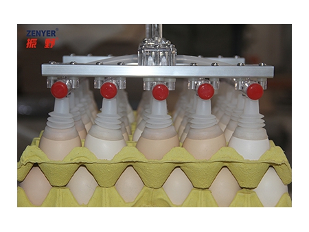 602 Vacuum Egg Lifter