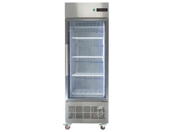 Iced Beverage Display Freezer
