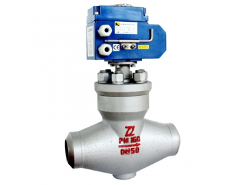 Control Valve, with Grinding Wheel