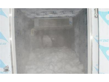 Maldives--Containerized plate ice machine and ice storage