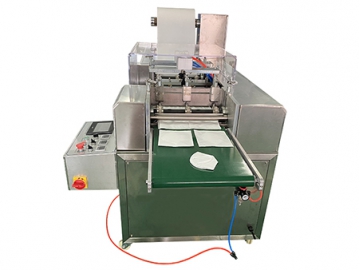4 Side Seal Packaging Machine                    Face Mask Packaging