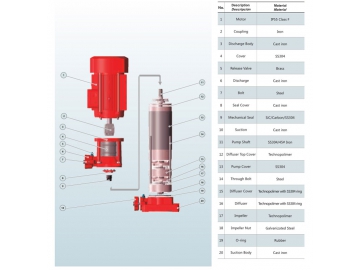 PVF series Vertical Multistage Pump