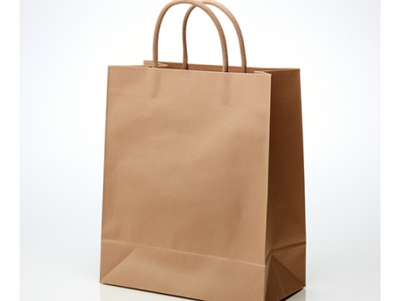 Paper Bag Making Equipment  for Virgin Pulp Paper Bags