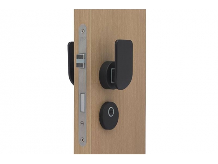 Push Pull Mortise Lock with Thumbturn