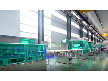 Automatic Tablet/Capsule Packaging Line, FS20