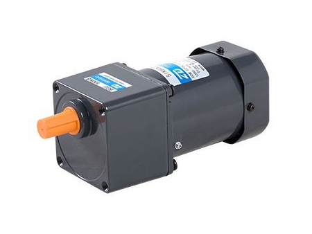 90mm 60W  Induction Motor