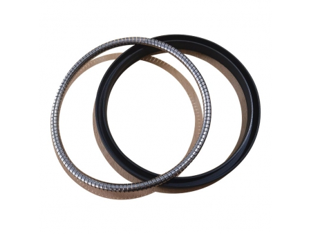 Helical Spring Energized Seal