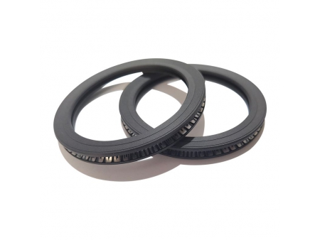 Spring Energized Face Seal