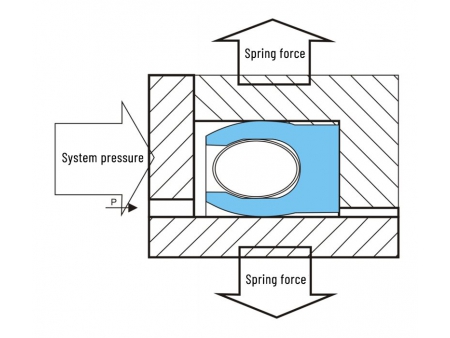 Spring Energized Seals