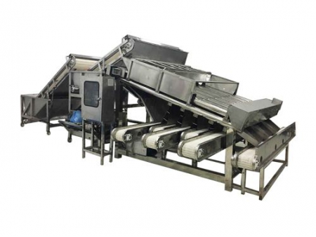 Commercial  Grading & Separating  Equipment for  Vegetables, Fruits and Seafood