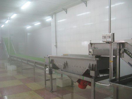 Fruit and Vegetable Processing Line