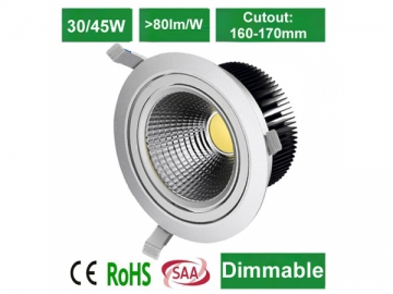 DL40180 COB LED Downlight