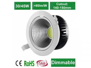 DL41160 COB LED Downlight