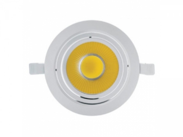 DL42160 COB LED Downlight
