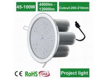 DL2230 LED Floodlight
